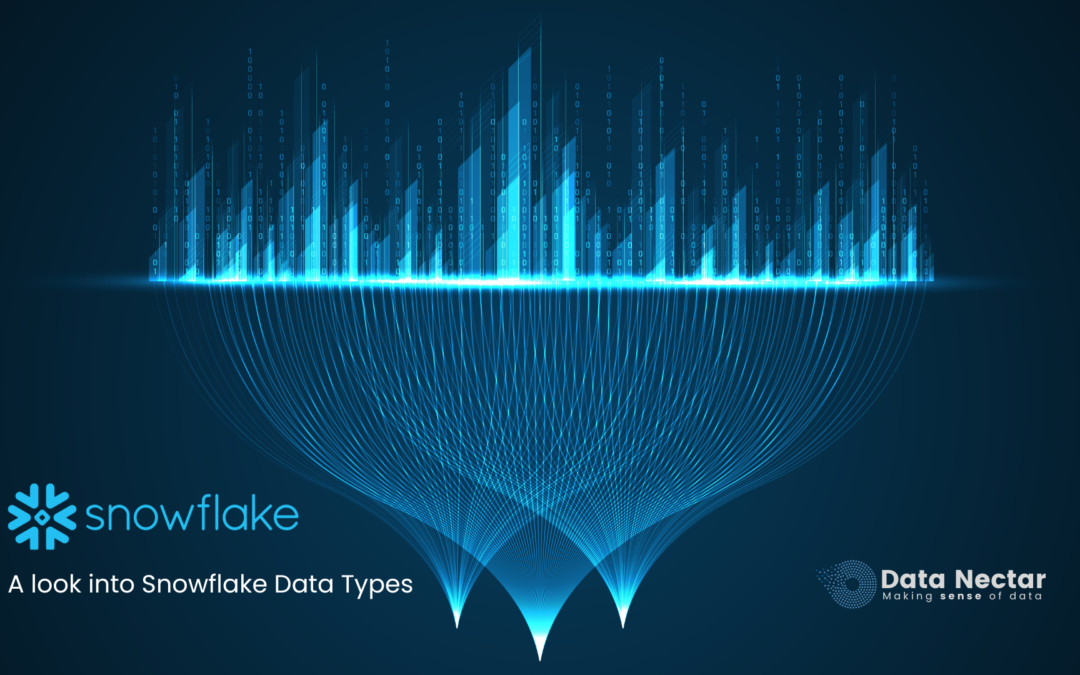 A look into Snowflake Data Types